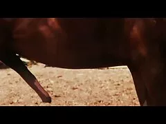 মেয়ে এক্স এক্স এক্স ভিডিও সেক্স সমকামী, সুন্দরী বালিকা