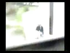 গরম সেক্স ভিডিও সেক্সি শ্যামাঙ্গিনী অপেশাদার